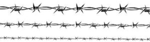 Cosa è stata la Shoah… per non dimenticare mai