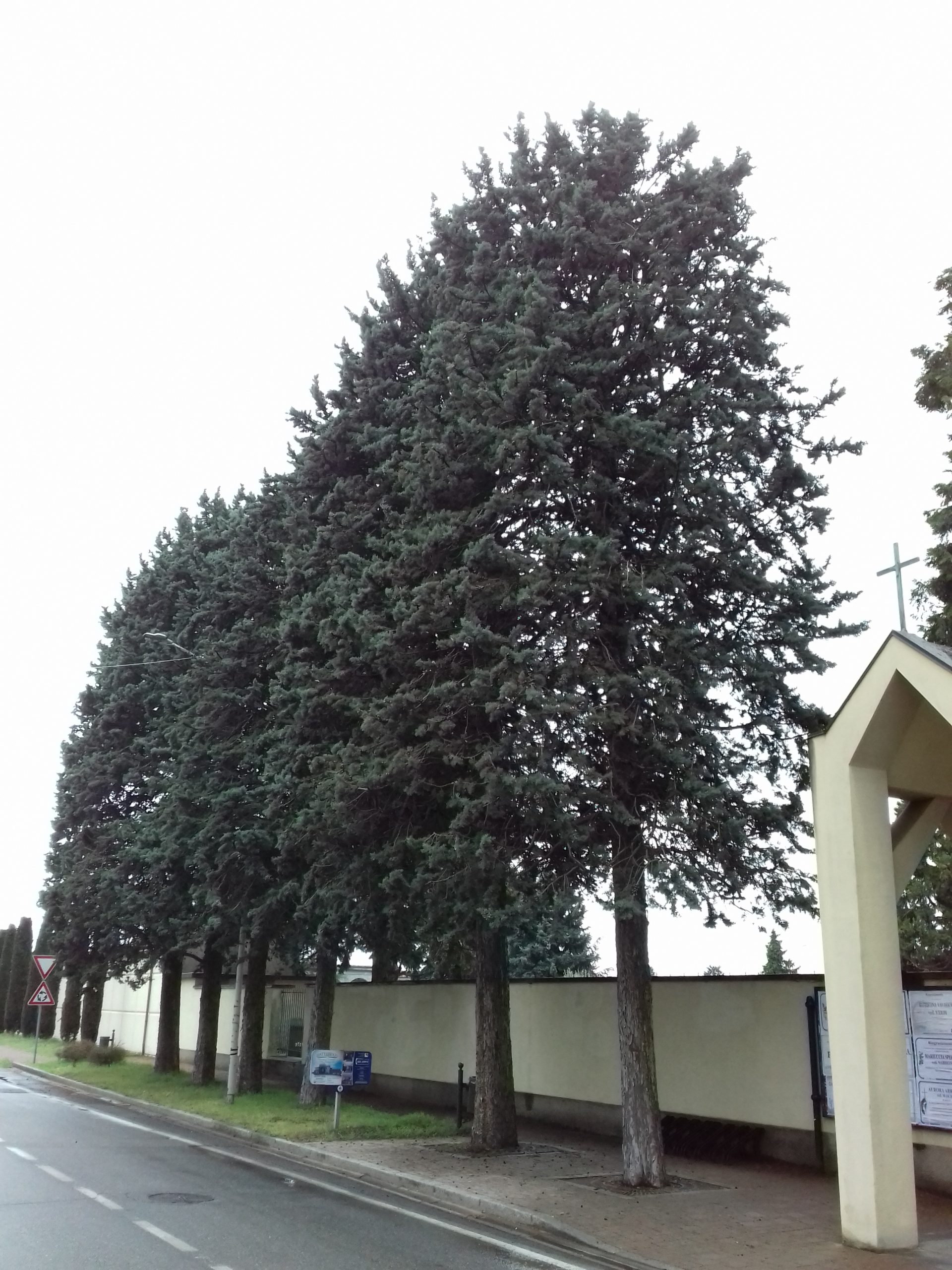 Ordinanze proroga chiusura parchi e cimiteri comunali