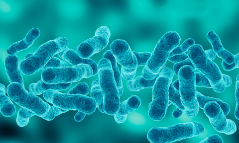 Misure di prevenzione del rischio Legionella